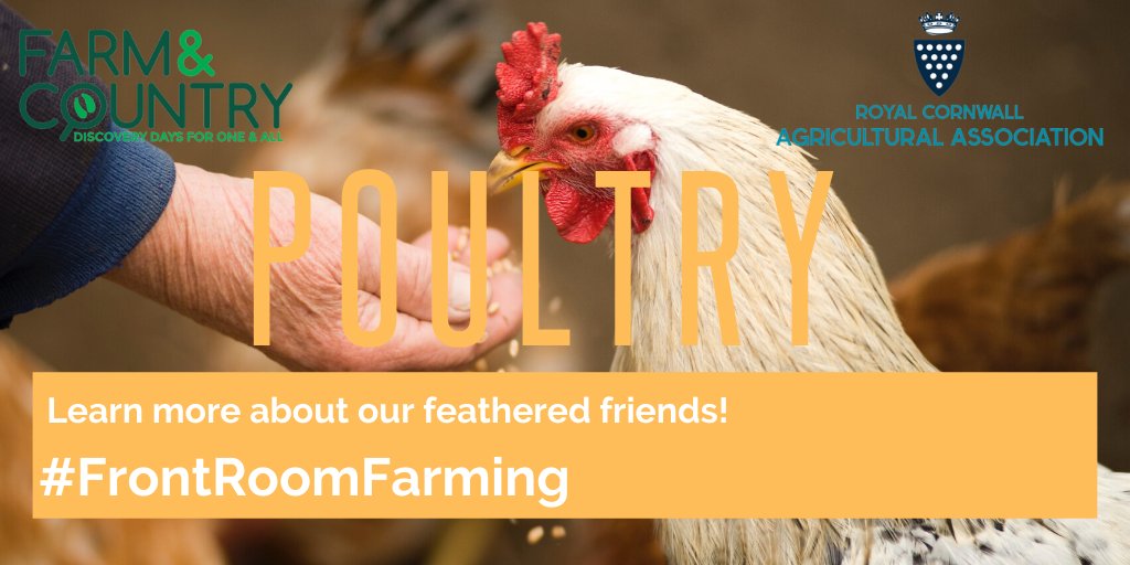 Royal Cornwall Show (@royalcornwall) on Twitter photo Seeing as the weather isn't exactly great today, how about some fun indoor activities!
Our latest #FrontRoomFarming activity sheet is available where you can learn about your favourite feathered friends!
๐๐ฃ
๐ bit.ly/2UzGYCS
#FairStrong Seeing as the weather isn't exactly great today, how about some fun indoor activities!
Our latest #FrontRoomFarming activity sheet is available where you can learn about your favourite feathered friends!
๐๐ฃ
๐ bit.ly/2UzGYCS
#FairStrong