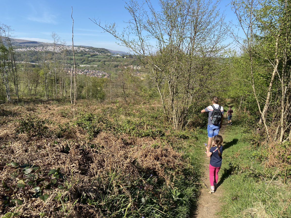 Claire downs tweet media