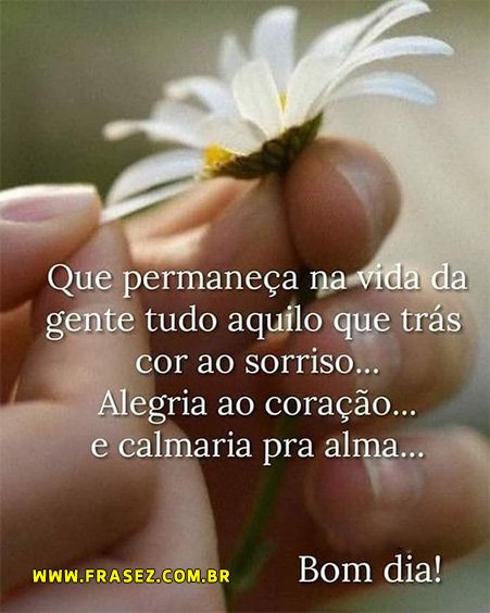 🌹Mara Lúcia🌹 on Twitter: 🌹Mara Lúcia🌹 on Twitter: