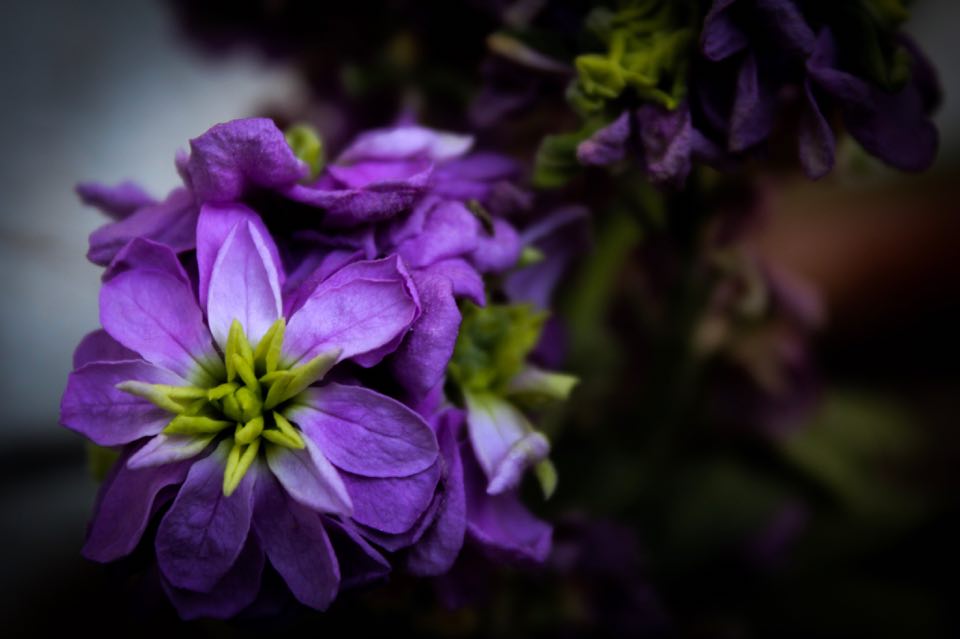 oneiremata's tweet photo. ημέρα της υπέρτατης θυσίας, ημέρα της «άκρας ταπεινωσης»... μέρα πένθους...
Καλή Ανάσταση! 
Υγεία, και να επιστρέψουμε γρήγορα στις ζωές μας... #Μεγάλη_Παρασκευή #πασχα2020 #Πασχα https://t.co/jjC8Q9doBd