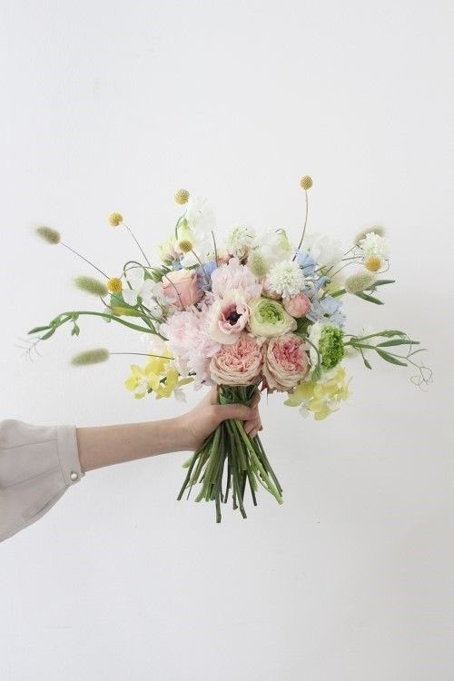 🌷 (@flowerimgs) on Twitter photo 