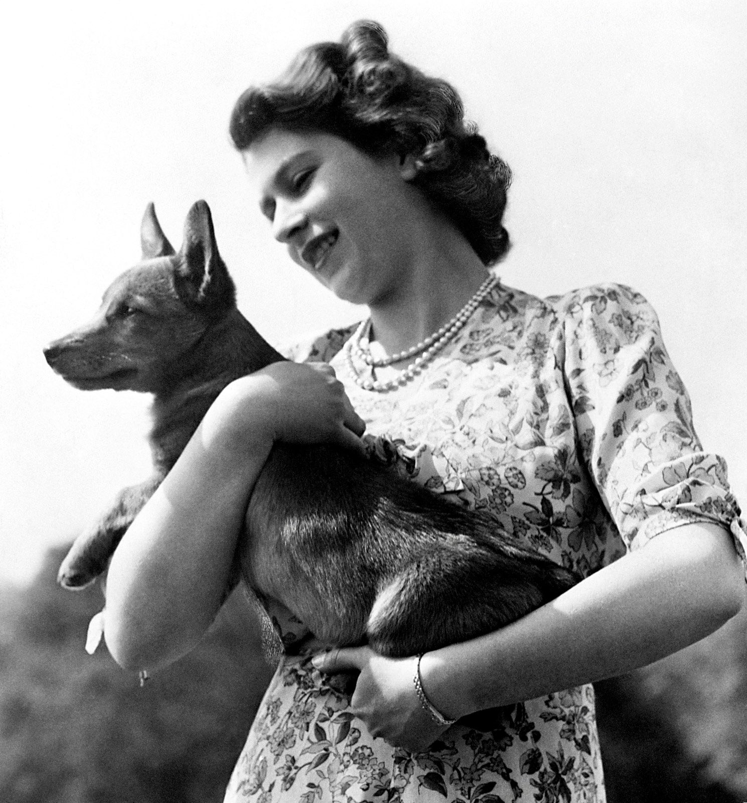 The Royal Family on X: 🐶🐴🐈Today we are marking National Pet Month. The  nations pets have kept us company during lockdown, and have joined our  daily walks! #nationalpetmonth t.codKt3x5WFhY  X
