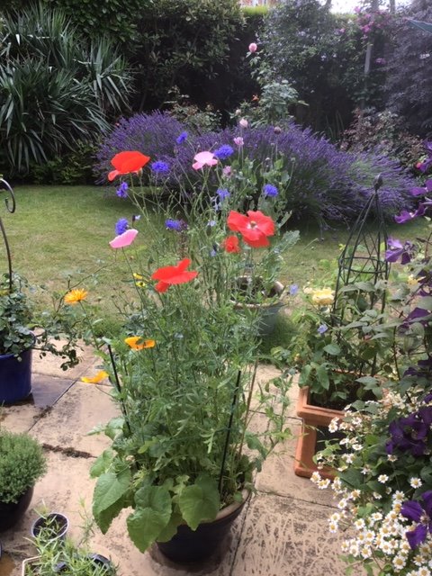 IanGould5's tweet photo. @LeicsCares @UHL_DIETITIANS @Leic_hospital @Careexpconf @ZephsCafe @10PYusuf Aren't they just and wonderfully the Stones were painted by @PoisonPinkDaisy #islastones #YLYS #CEP #CEC19 and I get to say Hi to and share love and well and safe wishes too https://t.co/SegzNLrAYr