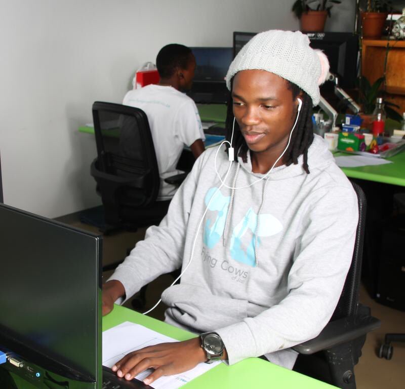 FlyingCowsOfJozi tweet media