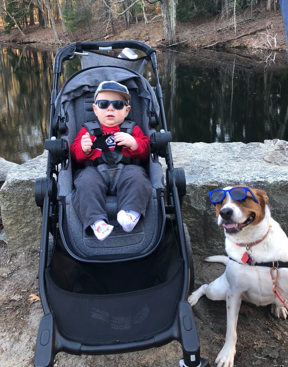 MrsGinthwain's tweet photo. Brayden and Siena are blocking all negativity with their cool shades today for Jaworek’s Virtual Spirit week! @MPSPanthers @Jaworek_School https://t.co/kgkupamI7e