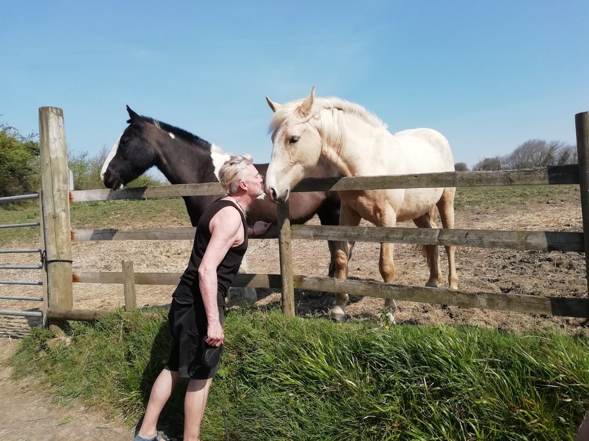 #Self with #Horses
#takebackyourfreedom #EndLockDown