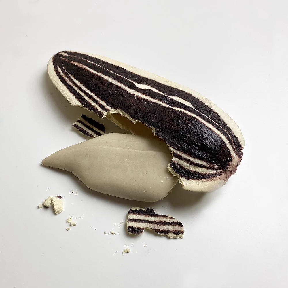 思わずテンションが上がってしまう？人間サイズのひまわりの種風お菓子www