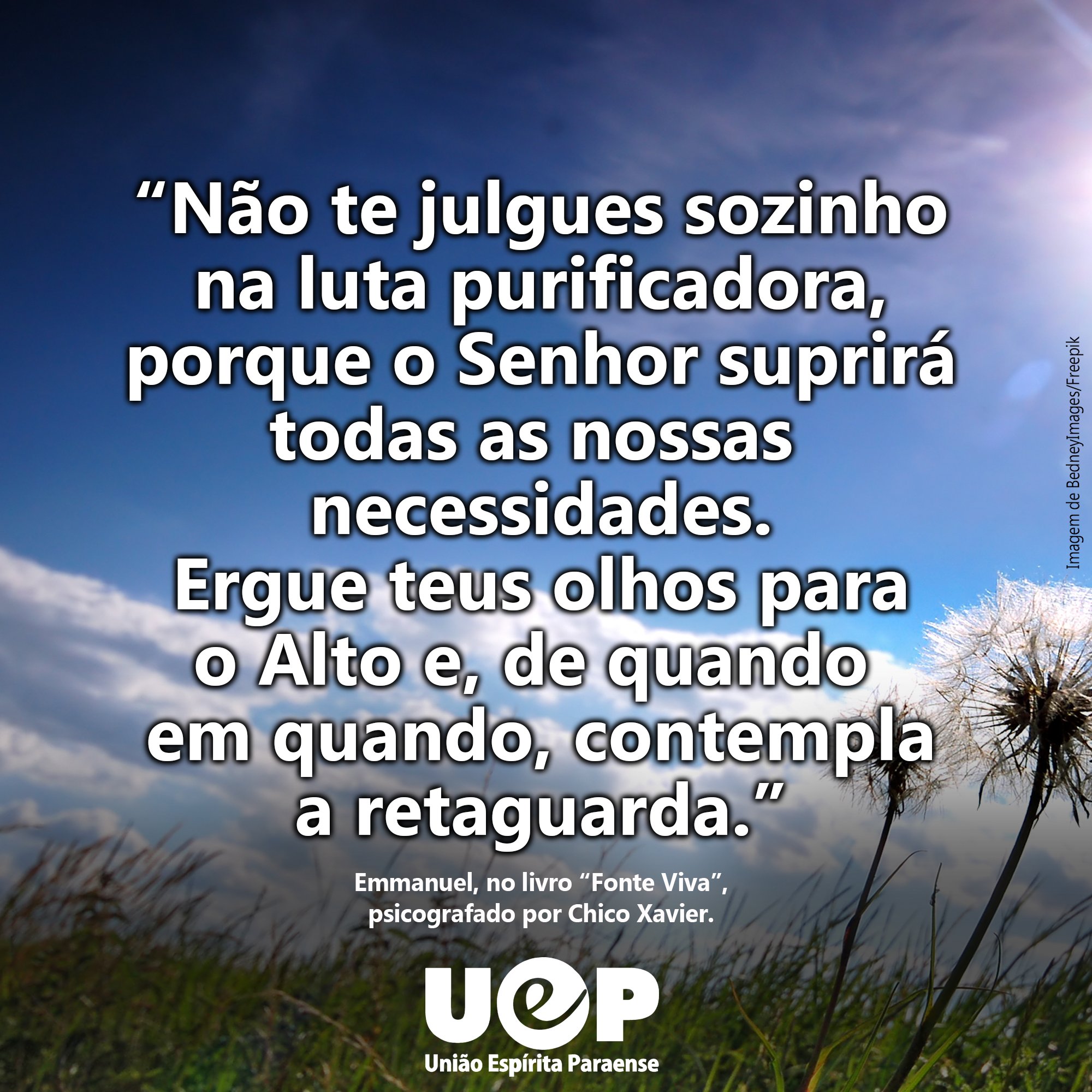 🥕 Não faças nada! Cria o teu fundo de emergência.