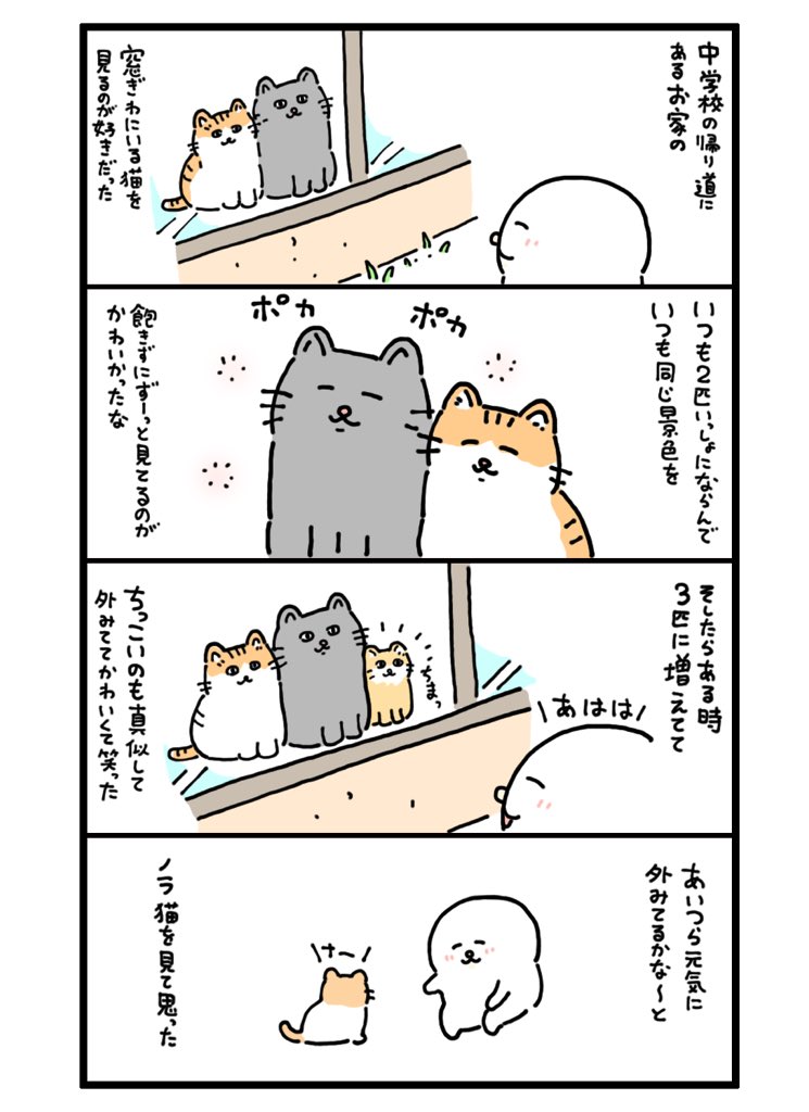 窓ぎわの猫? 