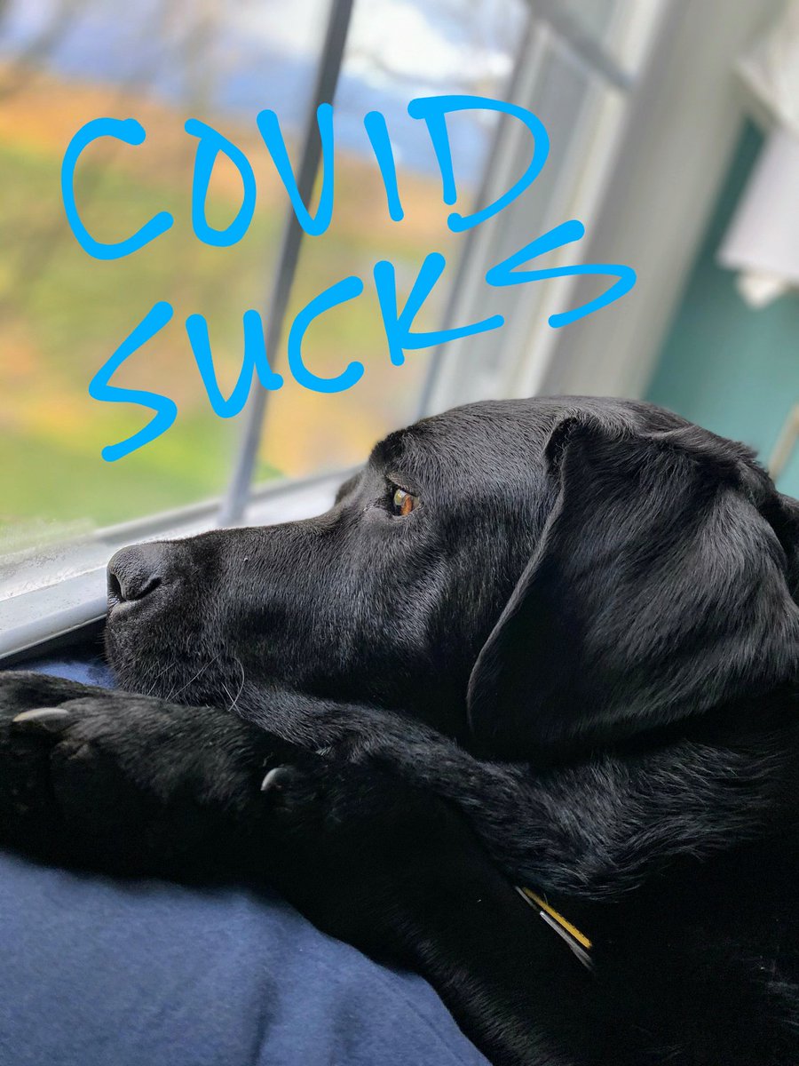 TheBird (@jasonlebrecht) on Twitter photo 