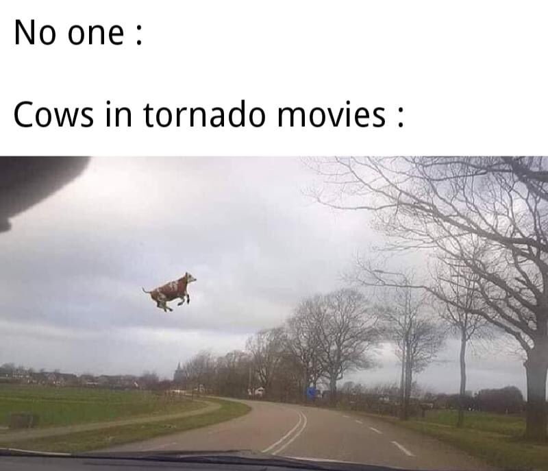 vcleanfunnypics's tweet photo. #clean #funnymemes #chucklefortheday #quarantine #brightenyourday #keepyourheadup #laugh #hilarious #hilariousmemes #lol #fun #checkitout #memes #funny #cleanhumor https://t.co/54FNeCBu3g