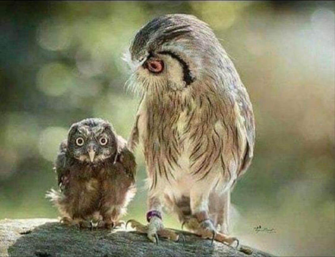 Actual photo of the Holy Spirit who can’t believe you just said that out loud...