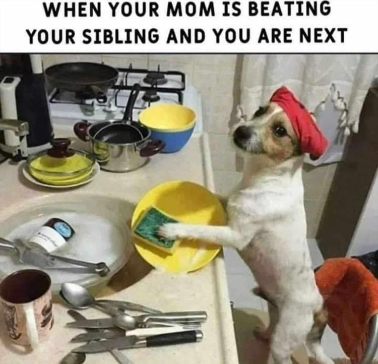 Tag 😂😂
#memes #hellopakistan #Pakistan #memesdaily #hashtag #Trending #funny