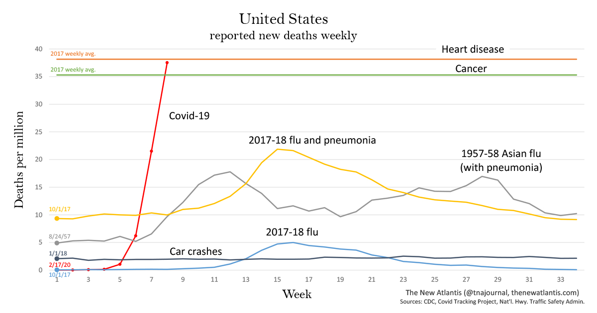 Weekly Deaths in the United States