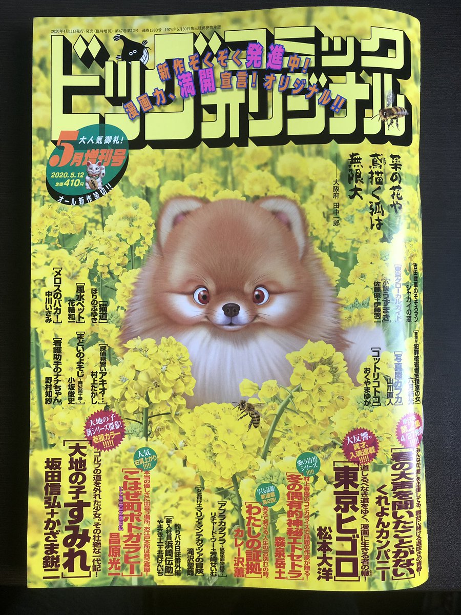 ビッグコミックオリジナル増刊も発売中です。どうぞよろしくお願いします。「まどいのよそじ」4月発売号はプロ野球開幕祝いで北関東ラビッツ・永井の話と決まっているのですが、まさかこんな事になるとは。それでも描いてしまいましたが。永井さん10年ぶりの開幕スタメン(か)という話です。 