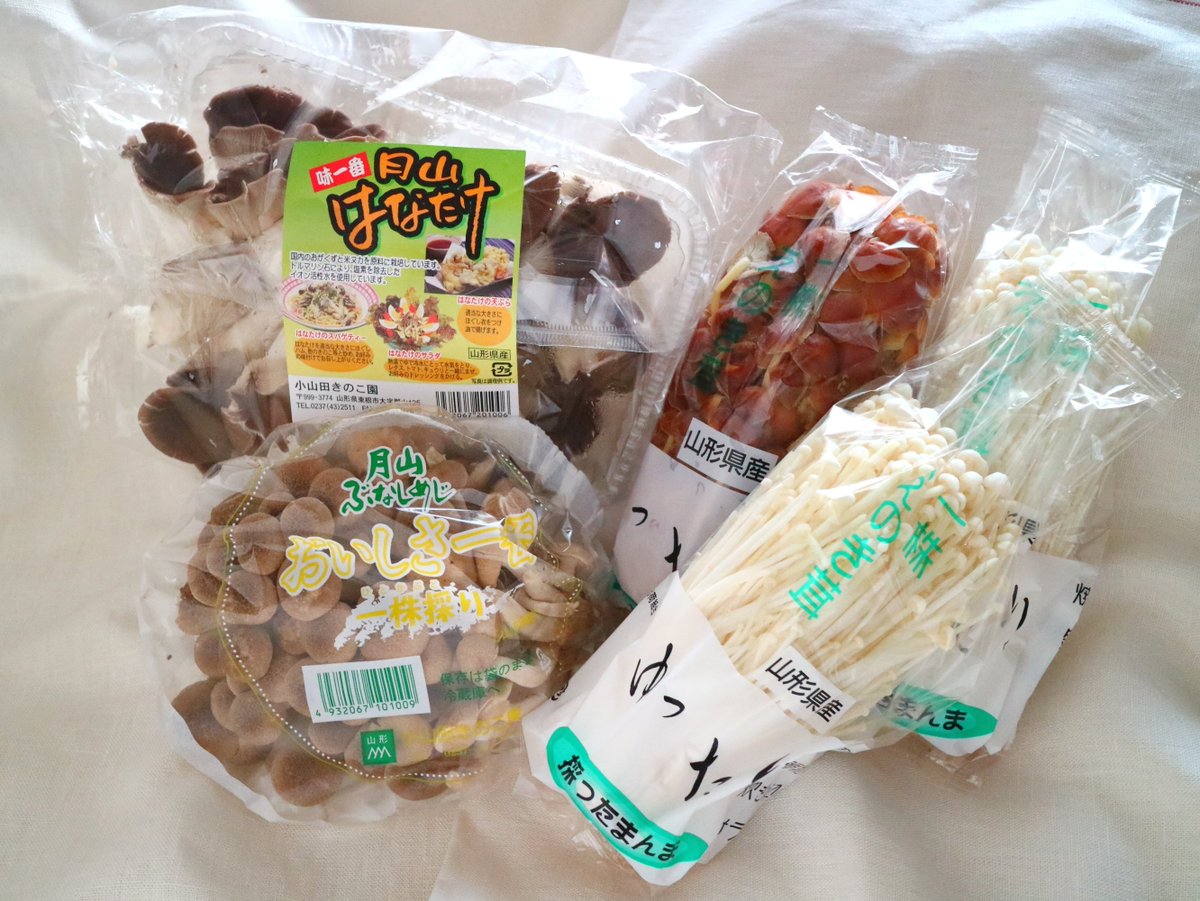 市 天気 予報 東根