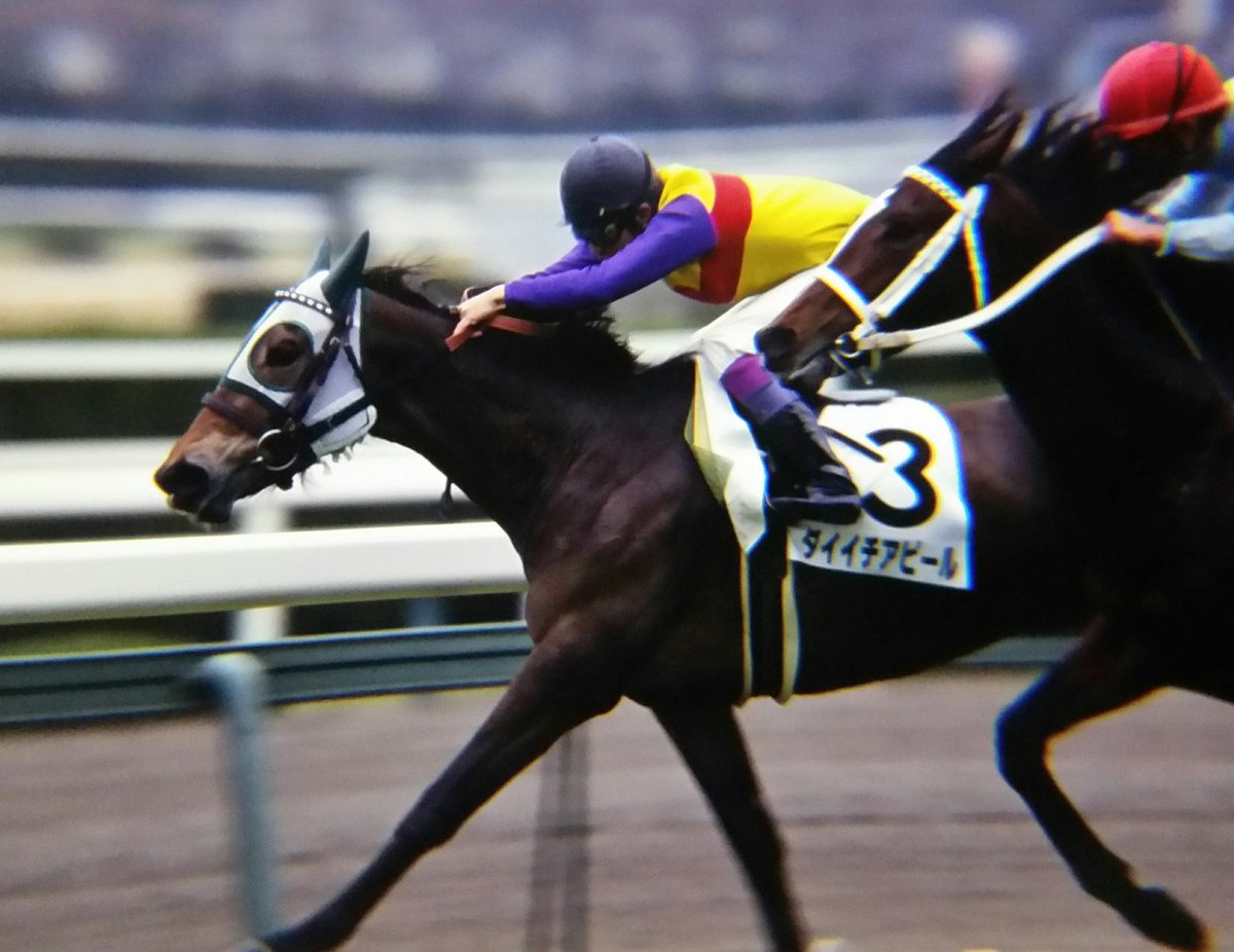 ホクトスルタン、ラナチュール、ウインプライマリー、たちの母ダイイチアピールの貴重な写真