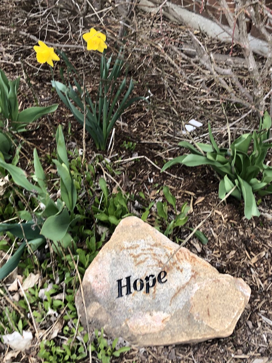 StJudesING tweet media