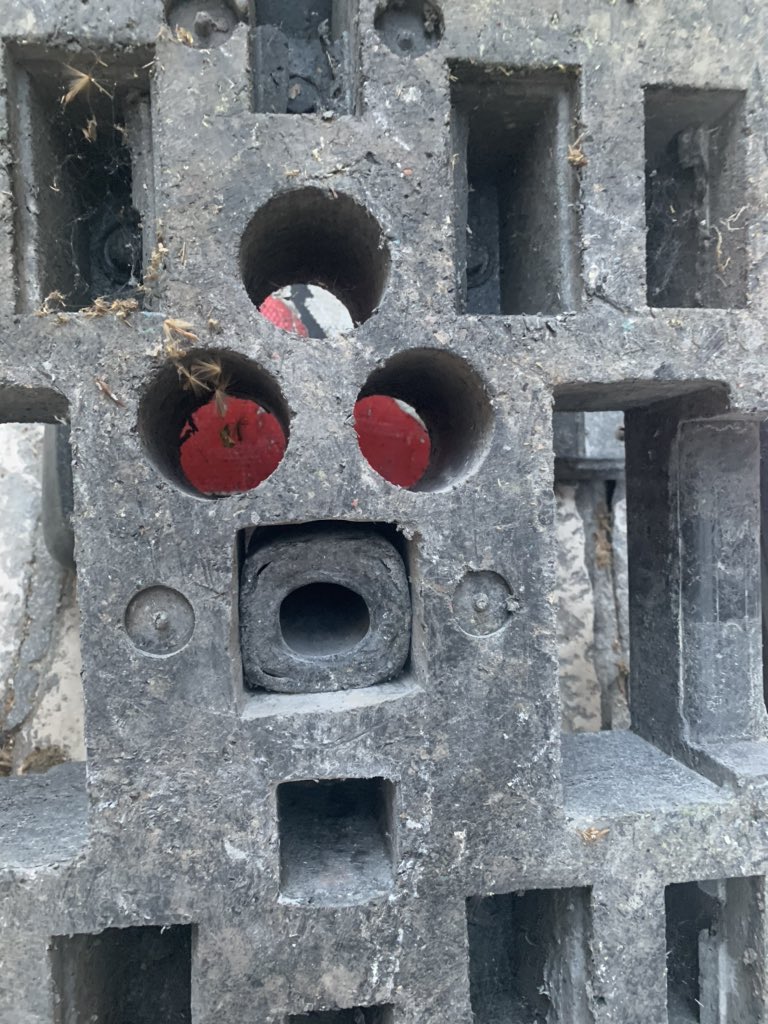 Day 38: I feel you, surprised block of concrete.