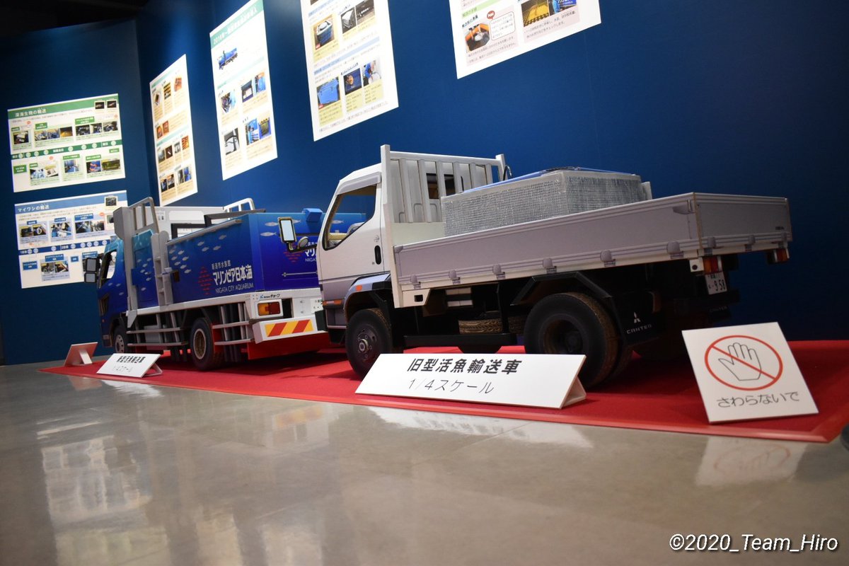 Hiro 彡 キャンターに煽られている マリンピア日本海の活魚輸送車 と 思いきや旧型の活魚輸送車 笑 相変わらず凝ってますねぇ なにげに車庫証明シール 保管場所標章 が 気に入りました O O マリンピア日本海 30周年企画 藤屋段ボール株式会社 Hiro 彡 キャンターに煽られている マリンピア日本海の活魚輸送車 と 思いきや旧型の活魚輸送車 笑 相変わらず凝ってますねぇ なにげに車庫証明シール 保管場所標章 が 気に入りました O O マリンピア日本海 30周年企画 藤屋段ボール株式会社