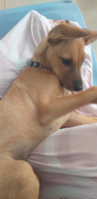 Lo primero que veo en la ma&ntilde;ana https://t.co/zHCTJFp50F<a href="/tag/iloveit"class="tags"><span>#iloveit</span></a>