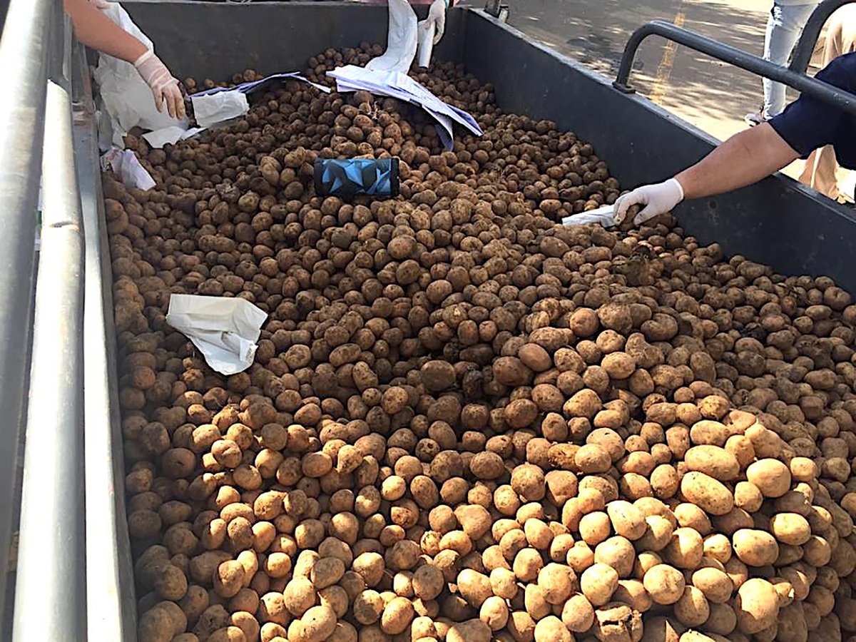 Kwanalu1's tweet photo. #Ixopo, #Highflats, #Kokstad, #MountCurrie & #MooiRiver farmers have responded to desperate calls of dwindling #food supplies in communities by donating produce & seedlings to sustain them in coming weeks. We commend their generosity during #lockdownsa. https://t.co/urYDz7BWxT https://t.co/Evpc4Kilqy