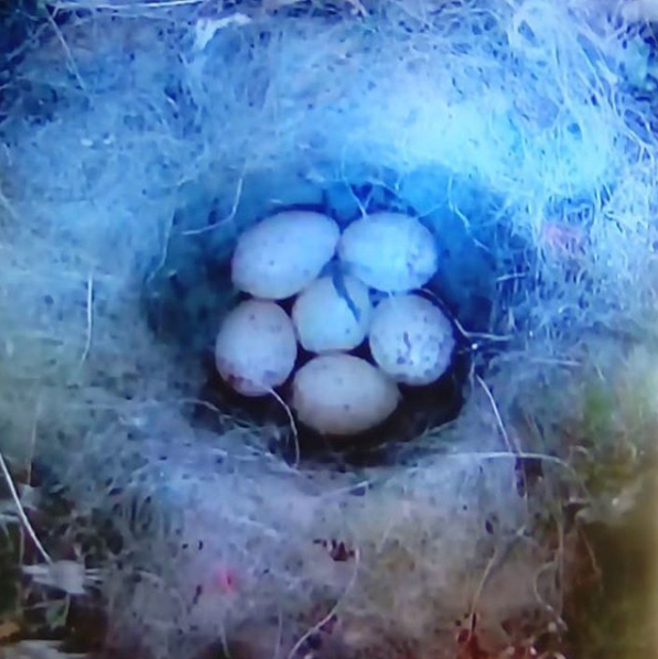 GalleriaFrancoNoero tweet media