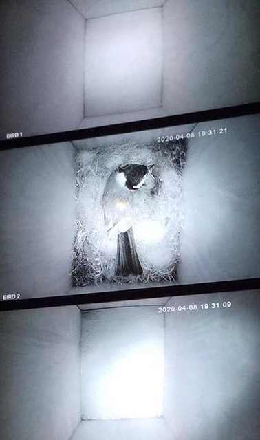 GalleriaFrancoNoero tweet media