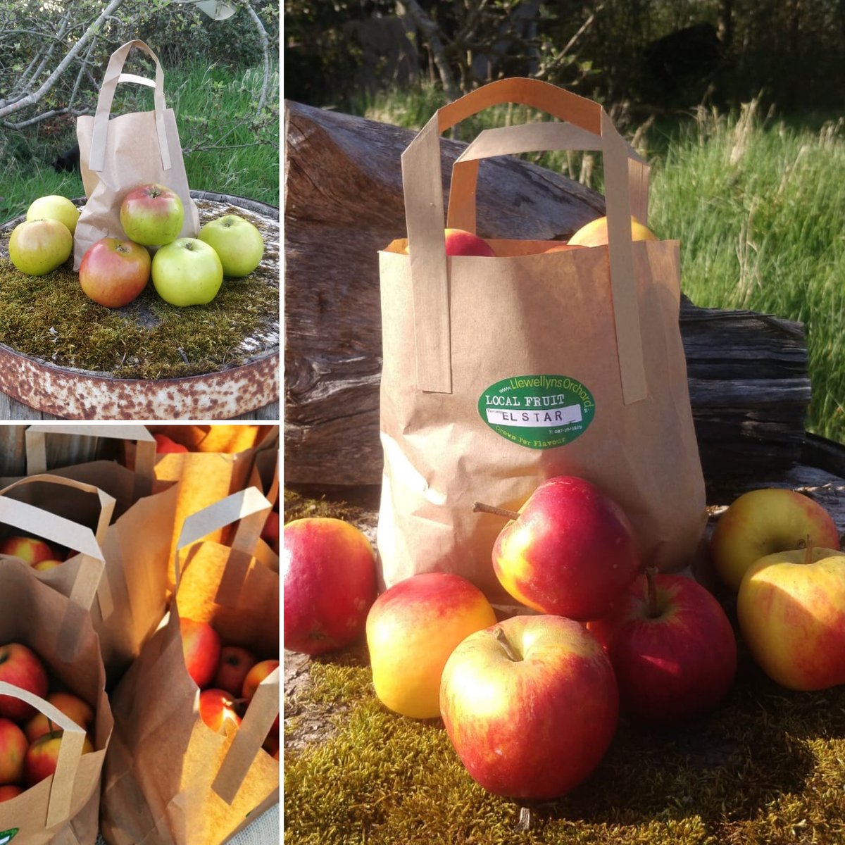 CountryCrestFS's tweet photo. Thanks to David for dropping in a delivery of delicious eating and cooking apples grown in his orchard in Lusk. @DavidsOrchard  🍏 🍎
#local #irish #7aday #CountryCrestFarmShop https://t.co/dDfR2M8Ha8