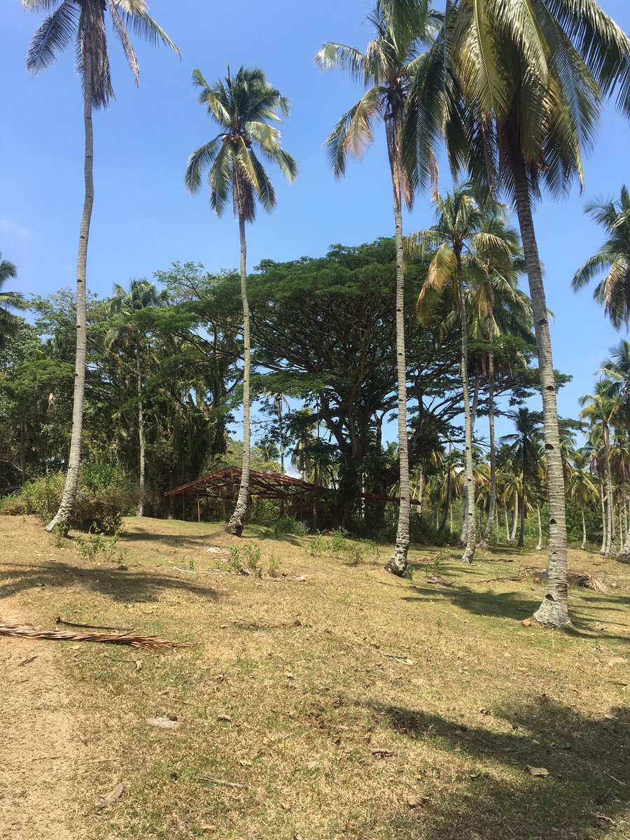 Ronnang19's tweet photo. I love nature, the way I love the creator.✨ https://t.co/64UfLEu264