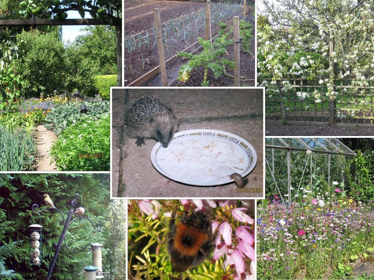 St Nicks #YorksGreenHeart (@stnicksfields) on Twitter photo Want to make space for nature in your garden, patio or even just a window box? Experienced organic veg grower Jane Thurlow, Phil of <a href="/greenunderwing/">Green Underwing</a> and our Outreach Officer Ivana share their #wildlife #gardeningtips and experiences on our blog: stnicks.org.uk/?p=15481
#vitaminN Want to make space for nature in your garden, patio or even just a window box? Experienced organic veg grower Jane Thurlow, Phil of <a href="/greenunderwing/">Green Underwing</a> and our Outreach Officer Ivana share their #wildlife #gardeningtips and experiences on our blog: stnicks.org.uk/?p=15481
#vitaminN