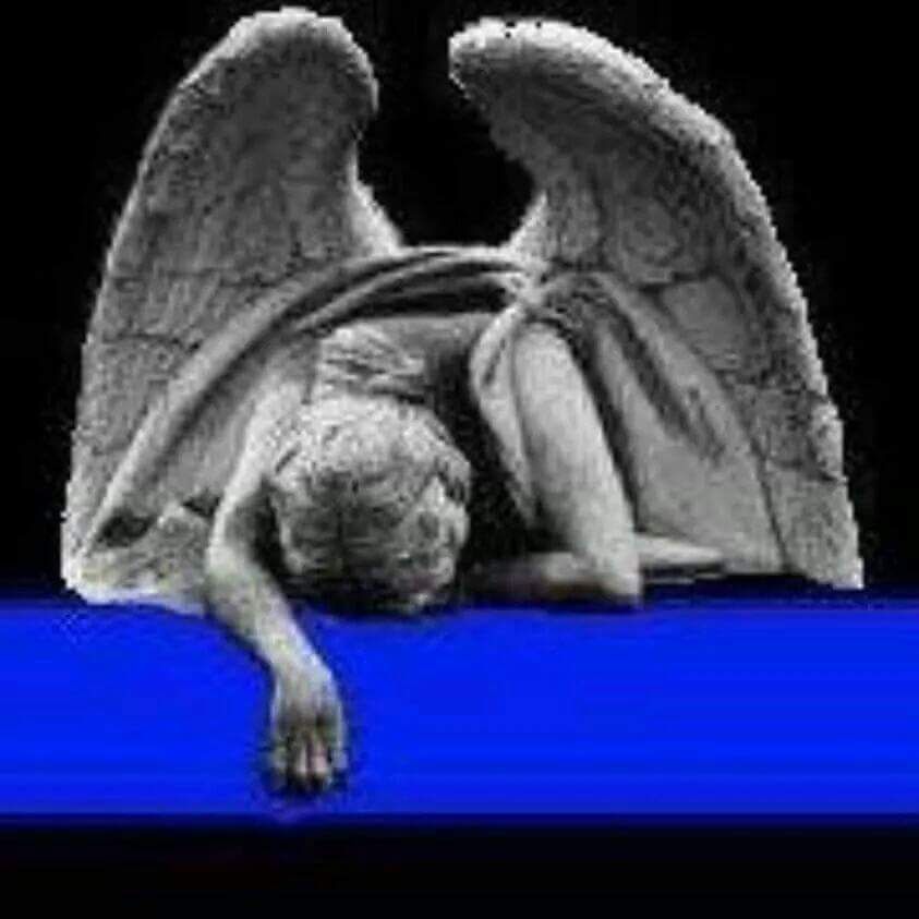 sheleeshel's tweet photo. @StuBishop_LPD https://t.co/0V6FX8g18R