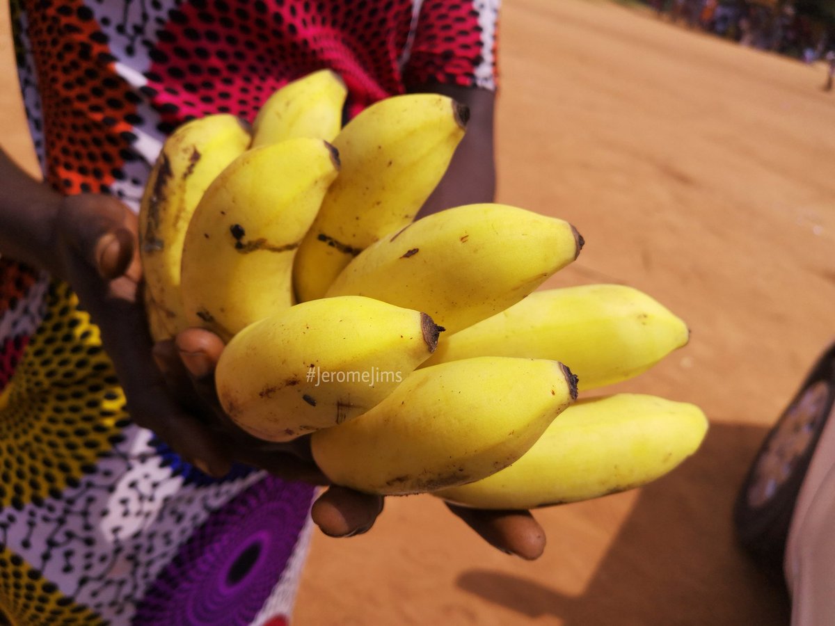 jimsjazz's tweet image. Koliko(igname frite) + kanami(poisson frit) + khom(pâte de maïs fermentée) + petit poisson(no idea of the name in Ewe) + akodou(banane)..
Voilà pourquoi certains occidentaux ne nous aiment pas.. 😒

#Jims #WithPhone #WithFUn #Togo #Photography #Africa