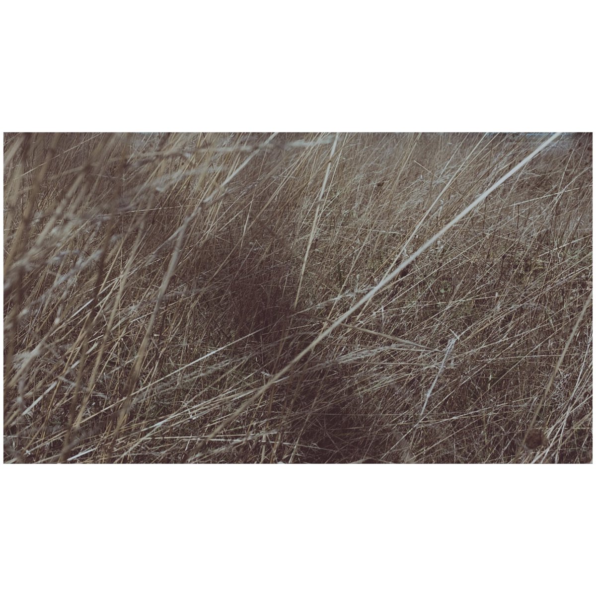 bea_henri's tweet photo. The deepest feeling always shows itself in silence.
Marianne Moore
© Béa Henri https://t.co/llnQBemiwt
