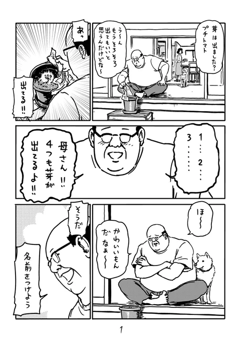 『部長の休日 その4』

1日も早く、皆様に日常が戻りますように。

GW特別企画として、プレゼントキャンペーンを考えています。
お楽しみに!

#日常 #休日 #サラリーマン山崎シゲル #サラリーマン #プチトマト #部長の休日シリーズ 