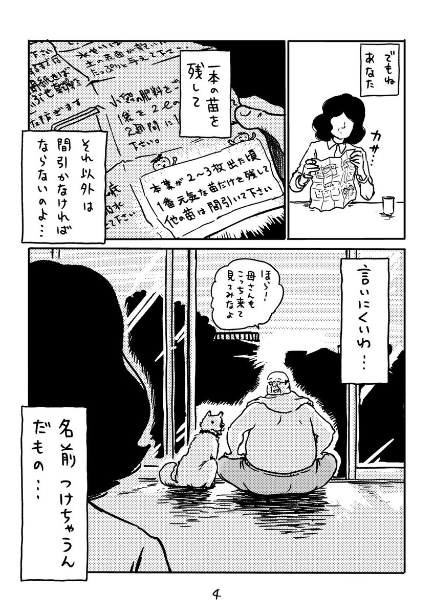 『部長の休日 その4』

1日も早く、皆様に日常が戻りますように。

GW特別企画として、プレゼントキャンペーンを考えています。
お楽しみに!

#日常 #休日 #サラリーマン山崎シゲル #サラリーマン #プチトマト #部長の休日シリーズ 