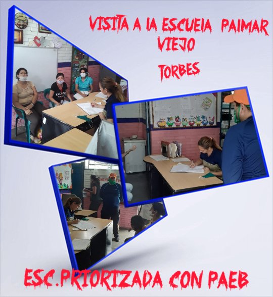 Visita a la escuela  palmar. Viejo