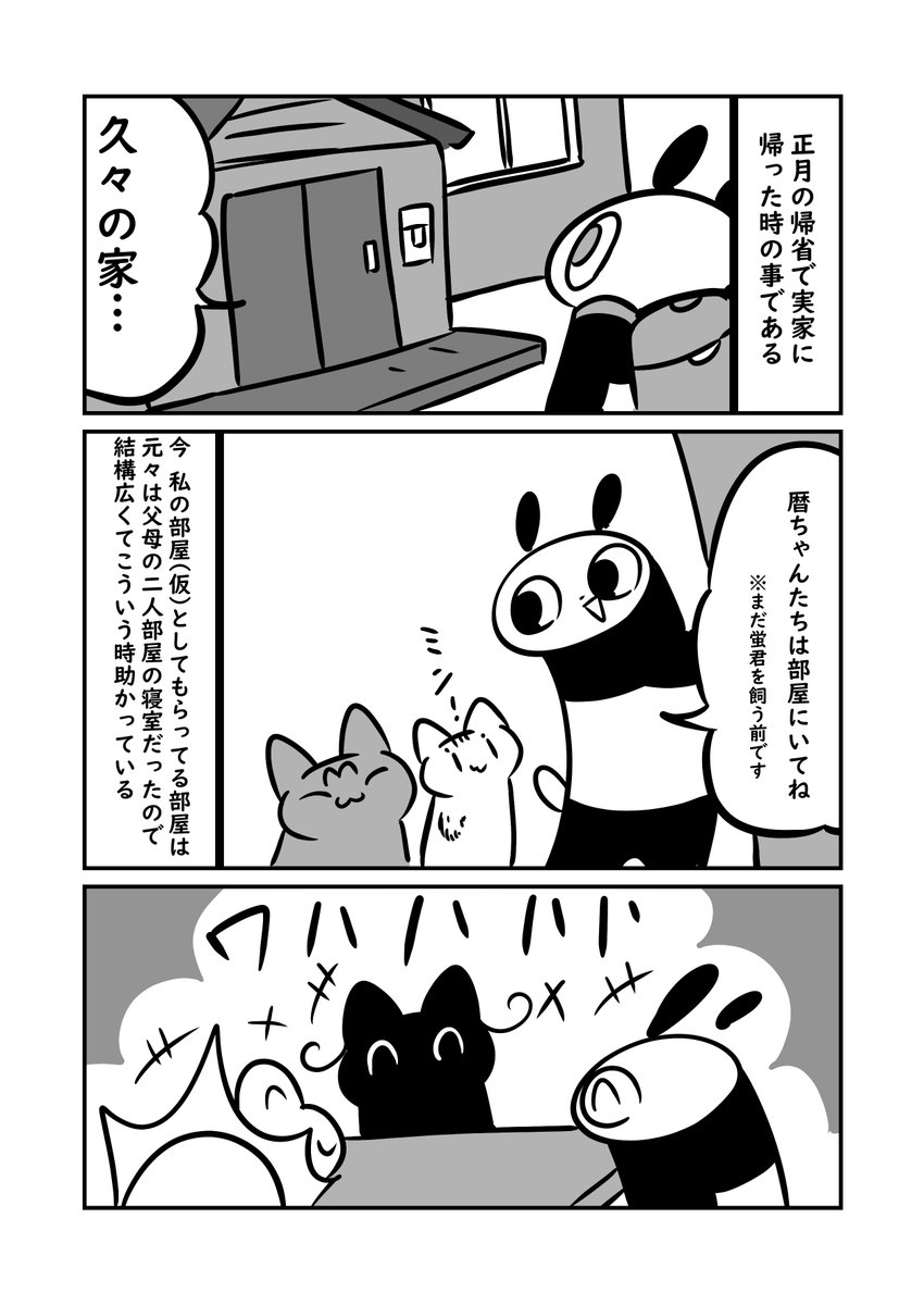 猫を飼ってるが猫の事を完全に忘れてしまっていた人間の話 #ぬら次郎日記 #猫パン日記 