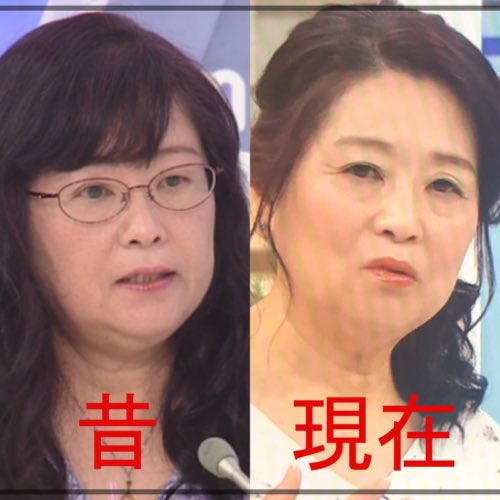 岡田 晴恵 白鴎 大学