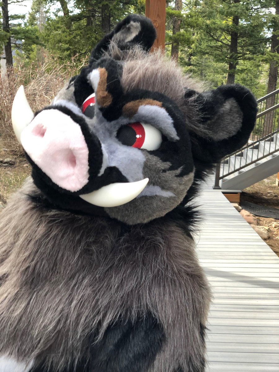 That's a whole a$$ Boar!!! tweet media