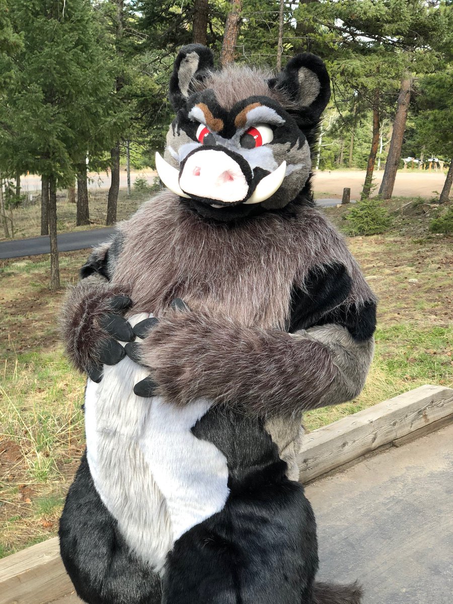 That's a whole a$$ Boar!!! tweet media