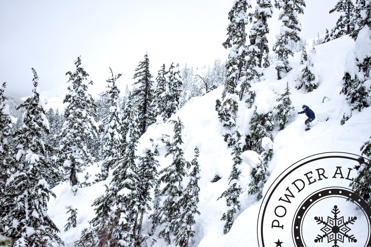 mthigh's tweet photo. The Powder Alliance just added two new resorts to target in 20/21. Eaglecrest, AK, and Silver Mountain, ID. Get 3 FREE days at each with your Mountain High season pass. Check link in bio for details. #mthigh #powderalliance #exploreyourworld https://t.co/ukRWjusaOj