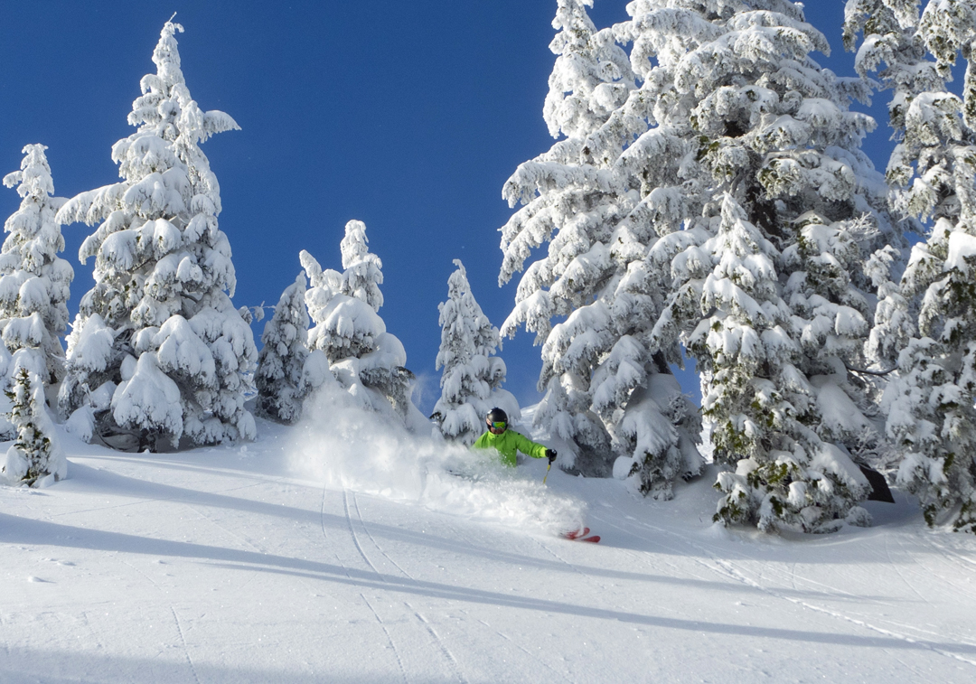 mthigh's tweet photo. The Powder Alliance just added two new resorts to target in 20/21. Eaglecrest, AK, and Silver Mountain, ID. Get 3 FREE days at each with your Mountain High season pass. Check link in bio for details. #mthigh #powderalliance #exploreyourworld https://t.co/ukRWjusaOj