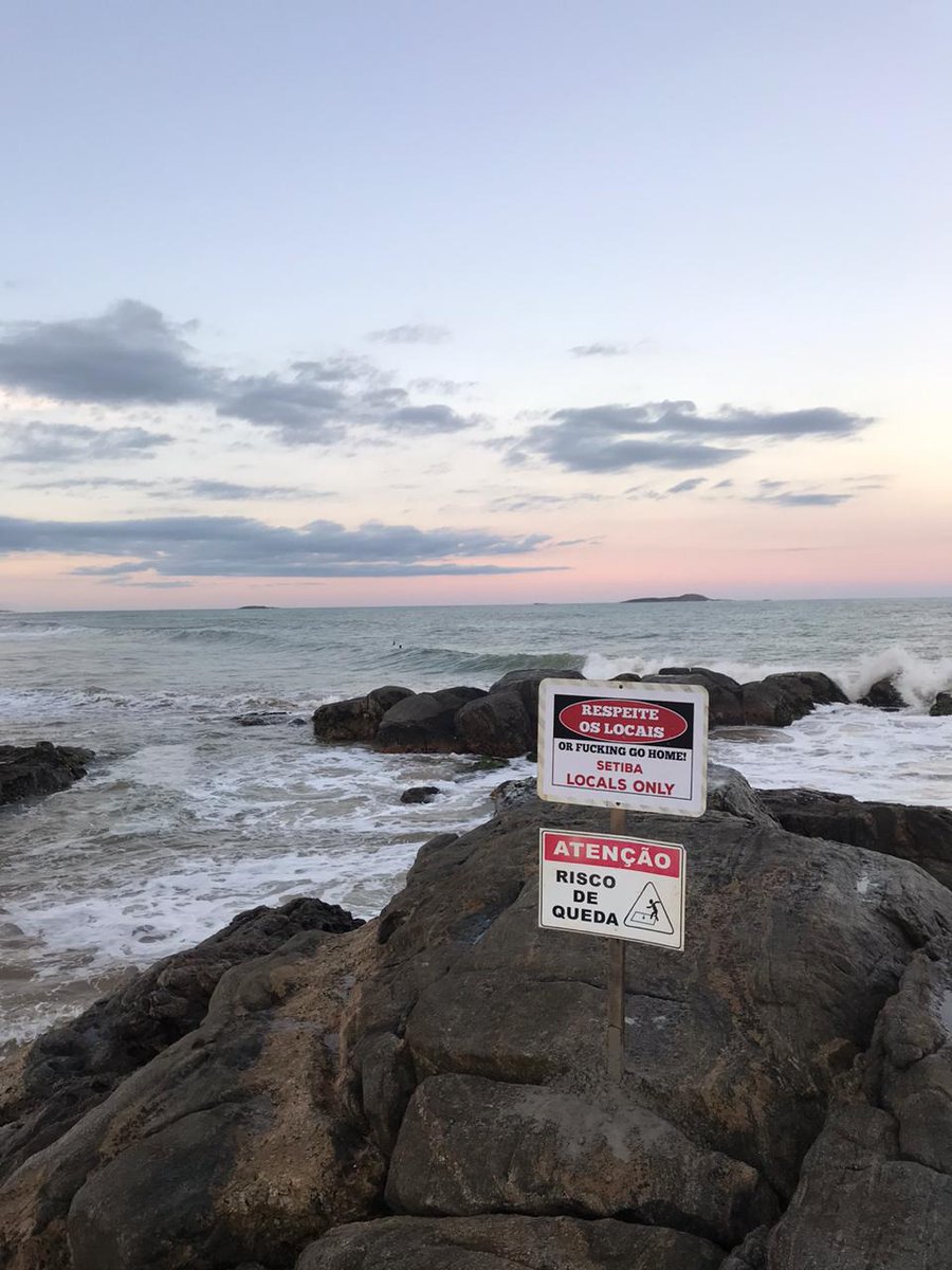 pviniciusmojoli's tweet image. #forahaole #sómorador