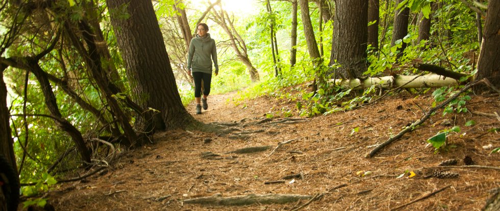 Haldimand and Norfolk counties are re-opening trails and parks for resident walk-through use: bit.ly/3d7PZuw