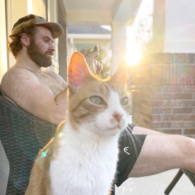 View image on Twitter