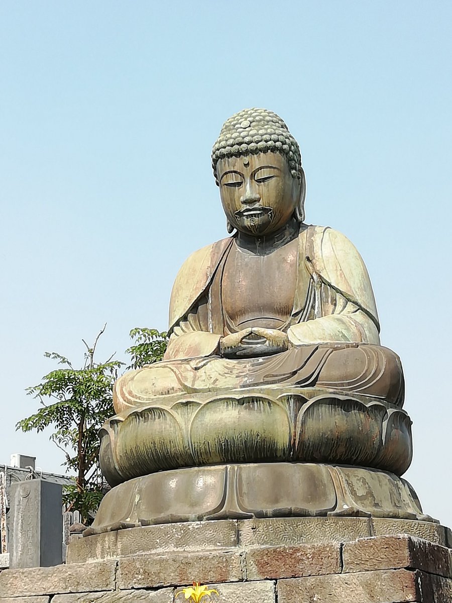 鎌ヶ谷大仏 Kdaibutsu Twitter 鎌ヶ谷大仏 Kdaibutsu Twitter