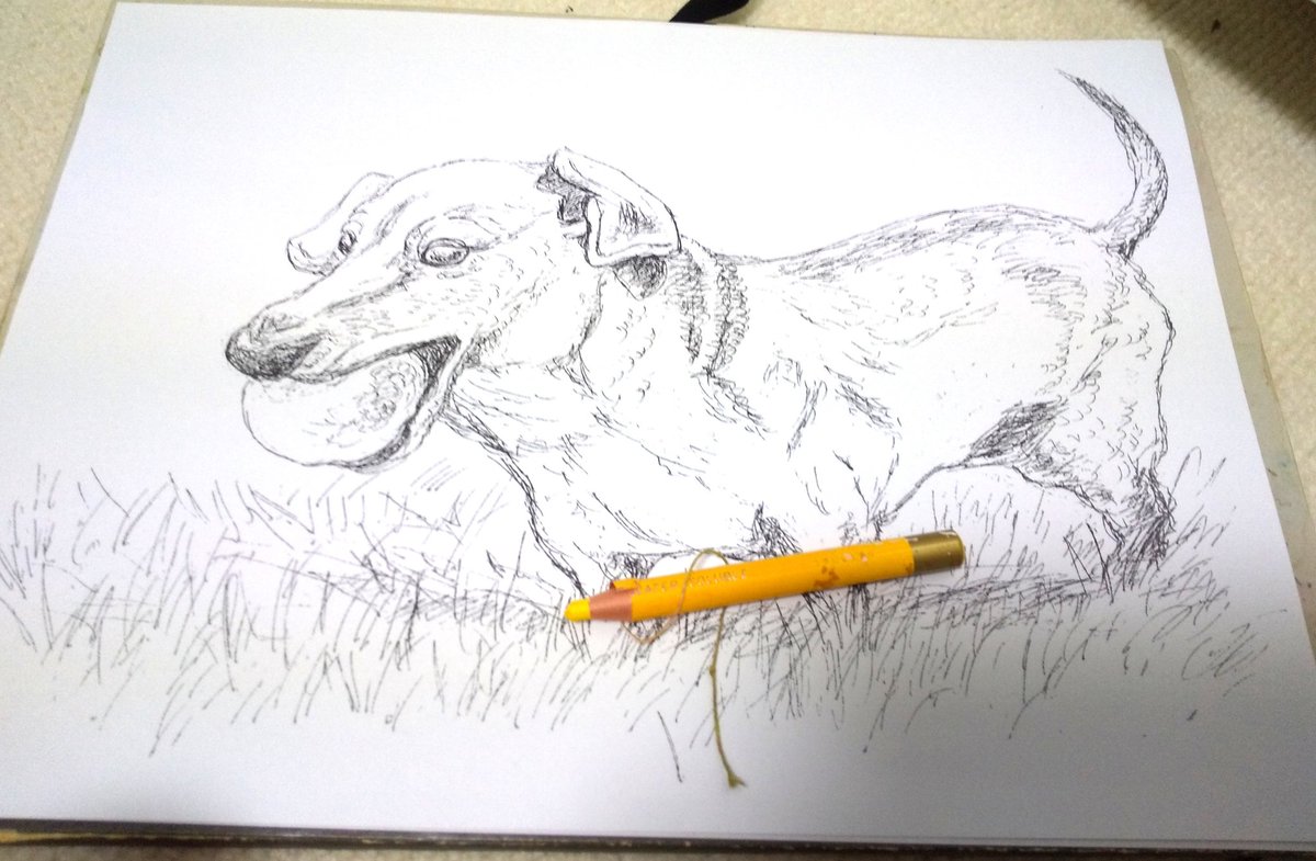 ギャラリーねこい Auf Twitter 子供達のぬりえ教室では水彩色鉛筆11色を水とコーヒーで暈しながら塗っています 色がいっぱいあると子供達が悩むので 自分で混ぜて色を作って貰ってます 塗り方で変わるのを説明すると低学年の子達も真剣にやってくれますよ