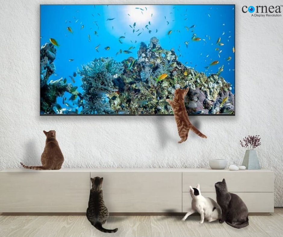CORNEA81358973's tweet photo. Fine detail and vivid color.
For getting offers to call us on 9319866640
or you can order from https://t.co/6LGnenjipt
#ledtv #pune #stayhome #staysafe #bestledtv
#androidledtv https://t.co/YftXElY9gj