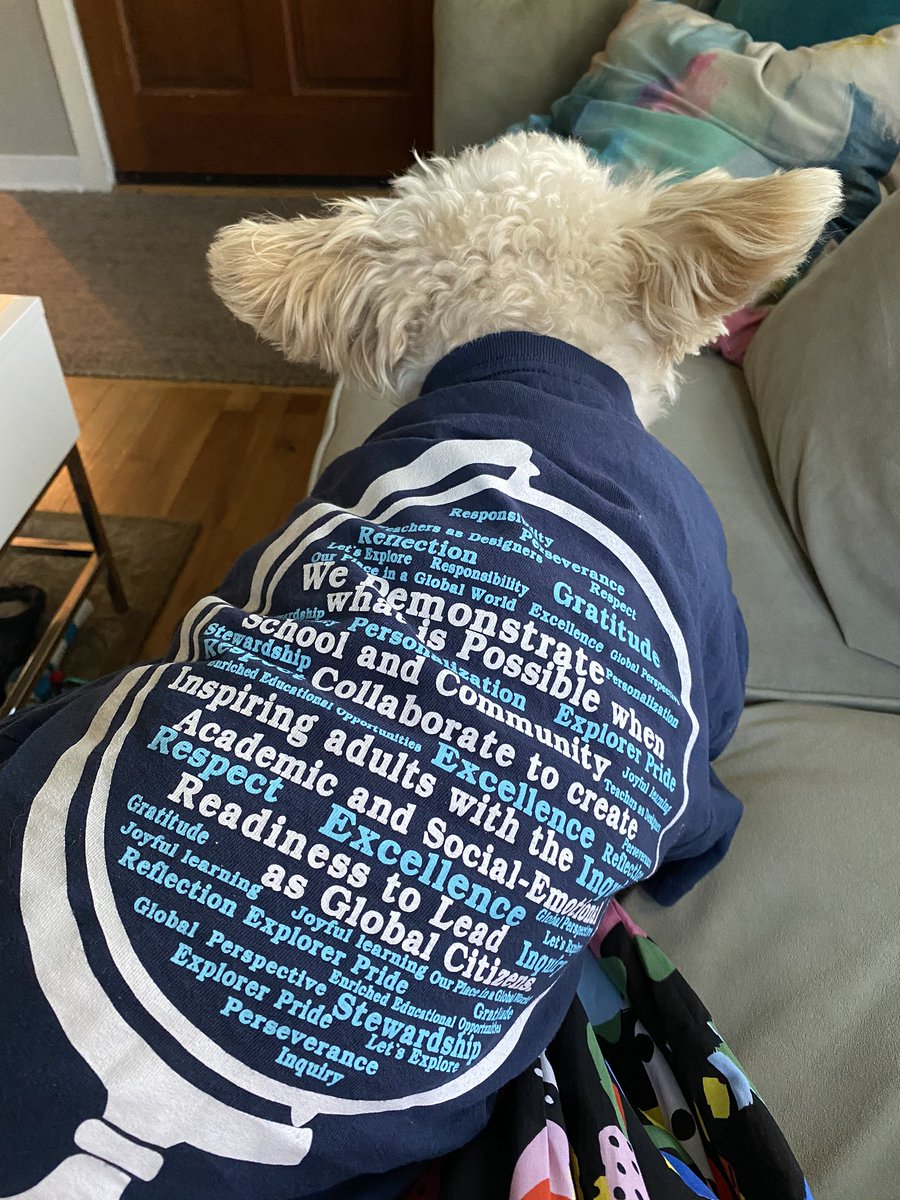 Scout’s got school spirit! @westlakecharter #WCSSpiritDay #WCSArt #Honoraryexplorer #spiritshirtstealer